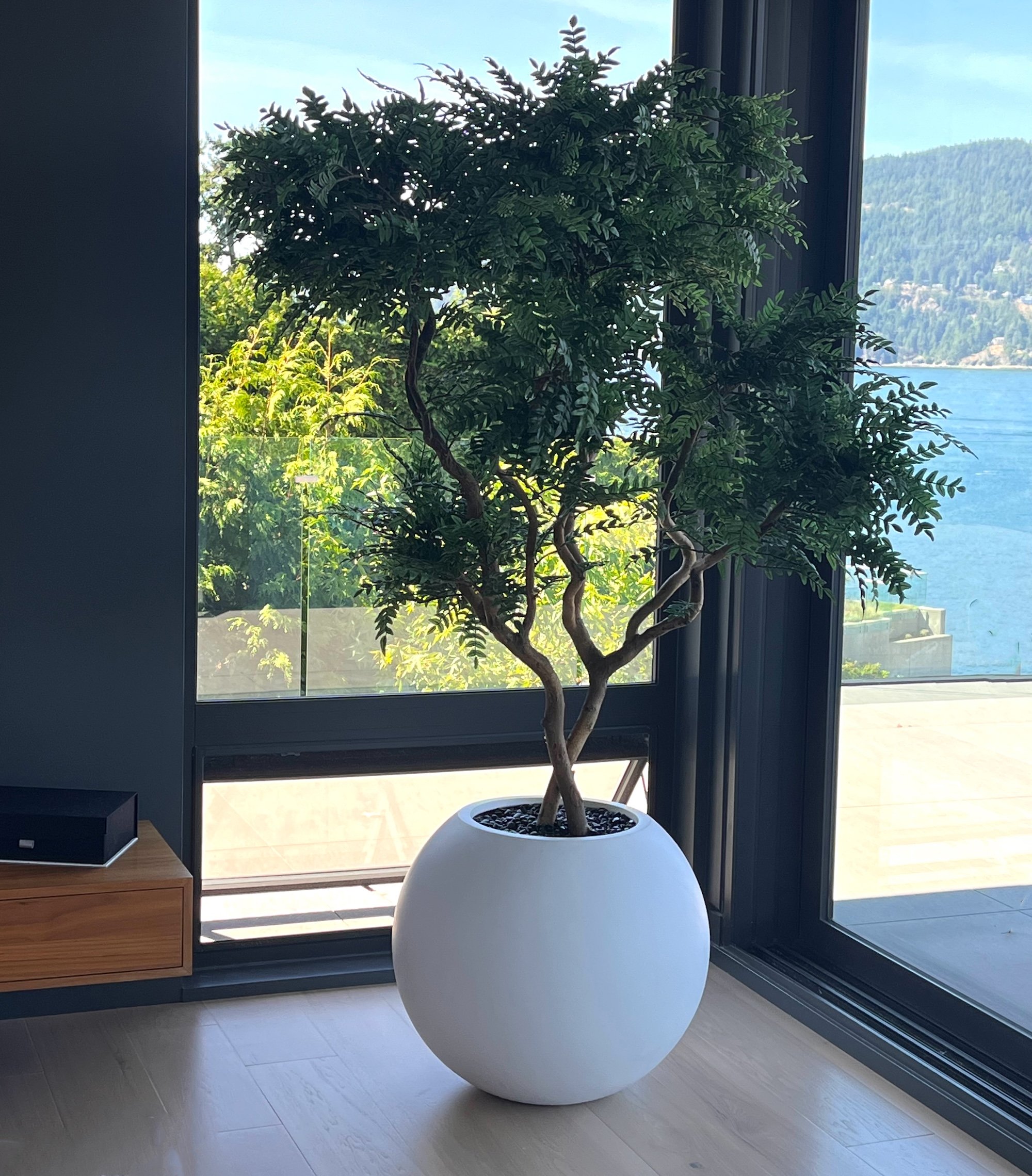 Faux tree placed near window corner inside interior space
