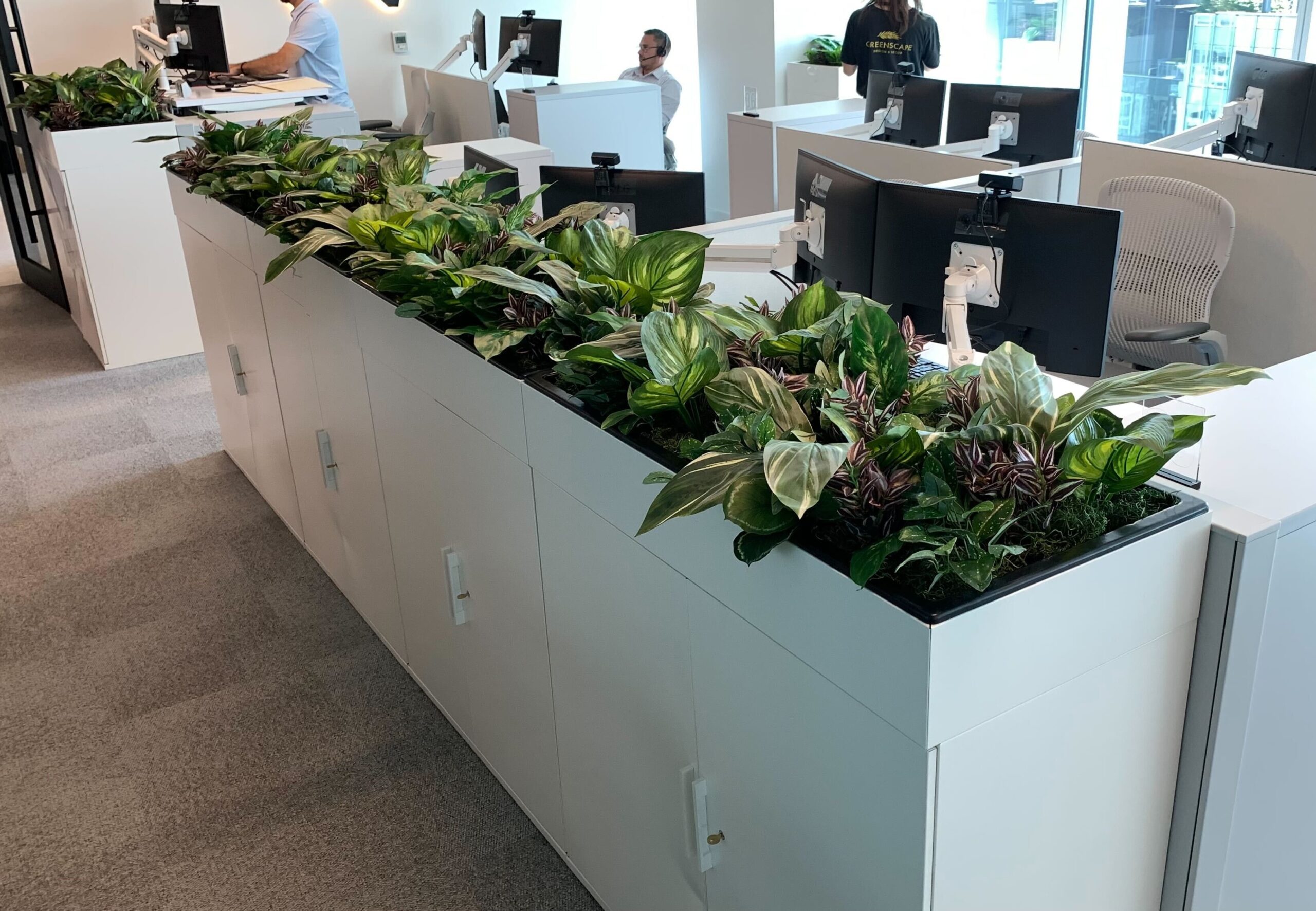 Faux potted plants integrated into an open workspace area