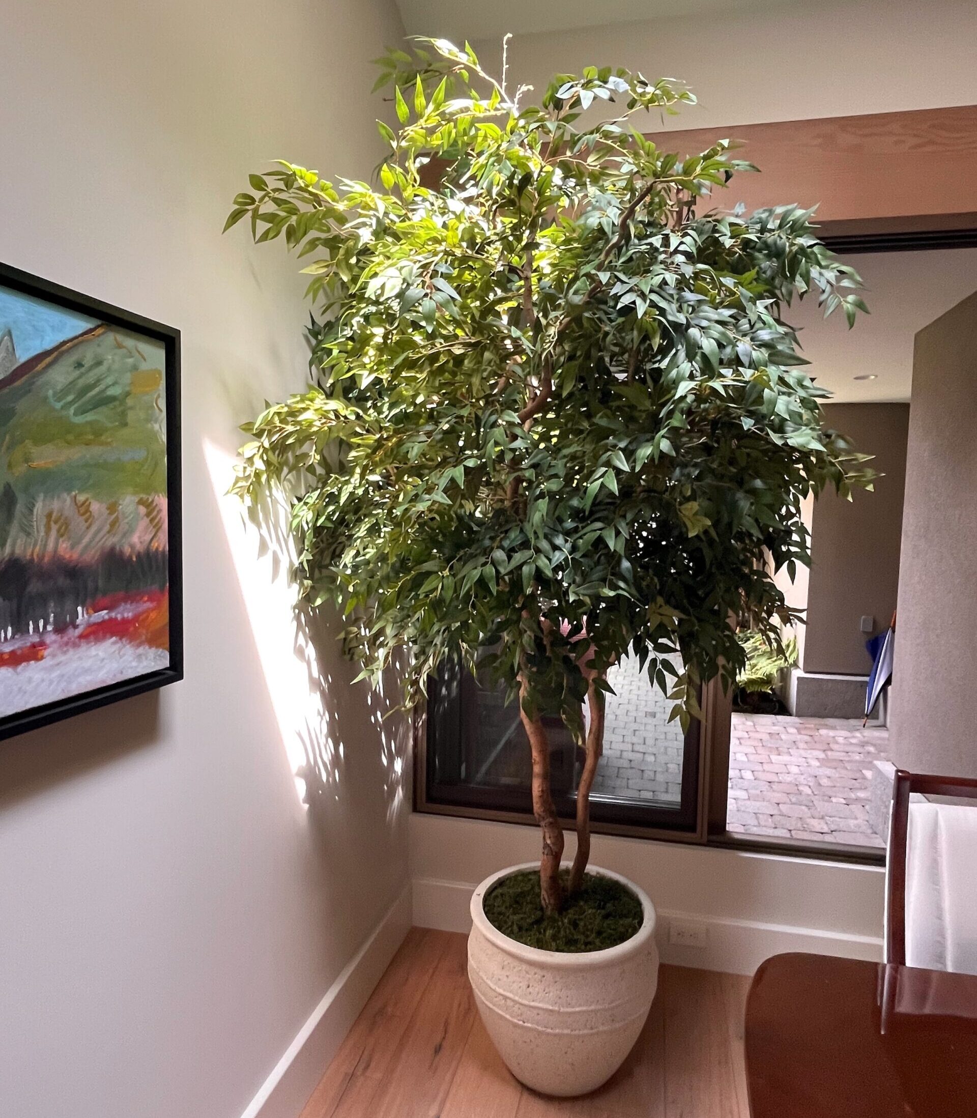Faux ficus tree placed in residential interior