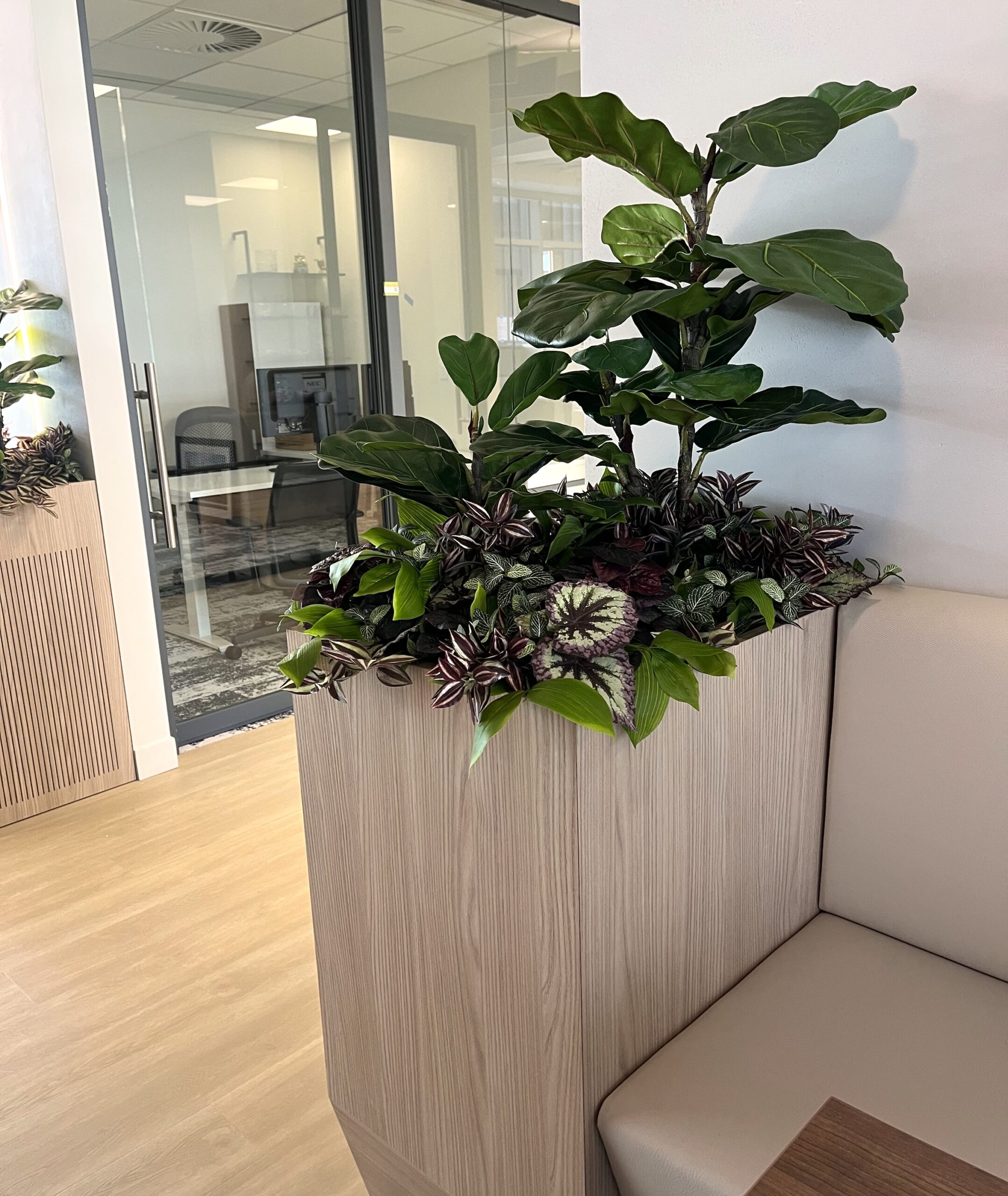Faux fiddle leaf fig arranged in an office corner planter