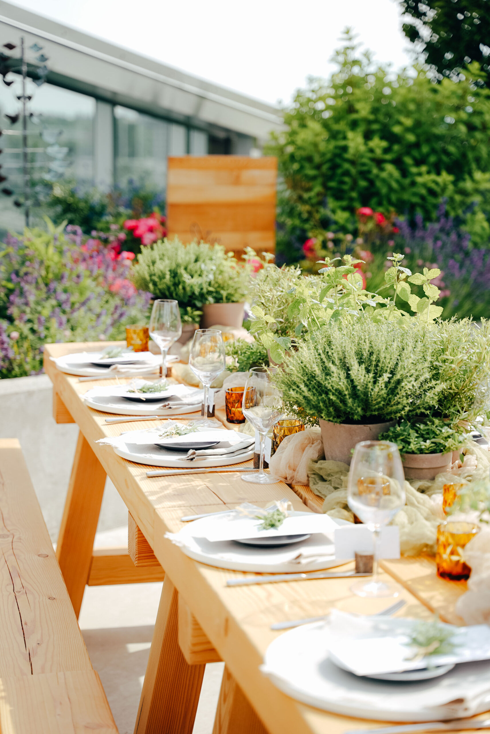 Table setting with herb plants and greenery centrepieces at corporate event