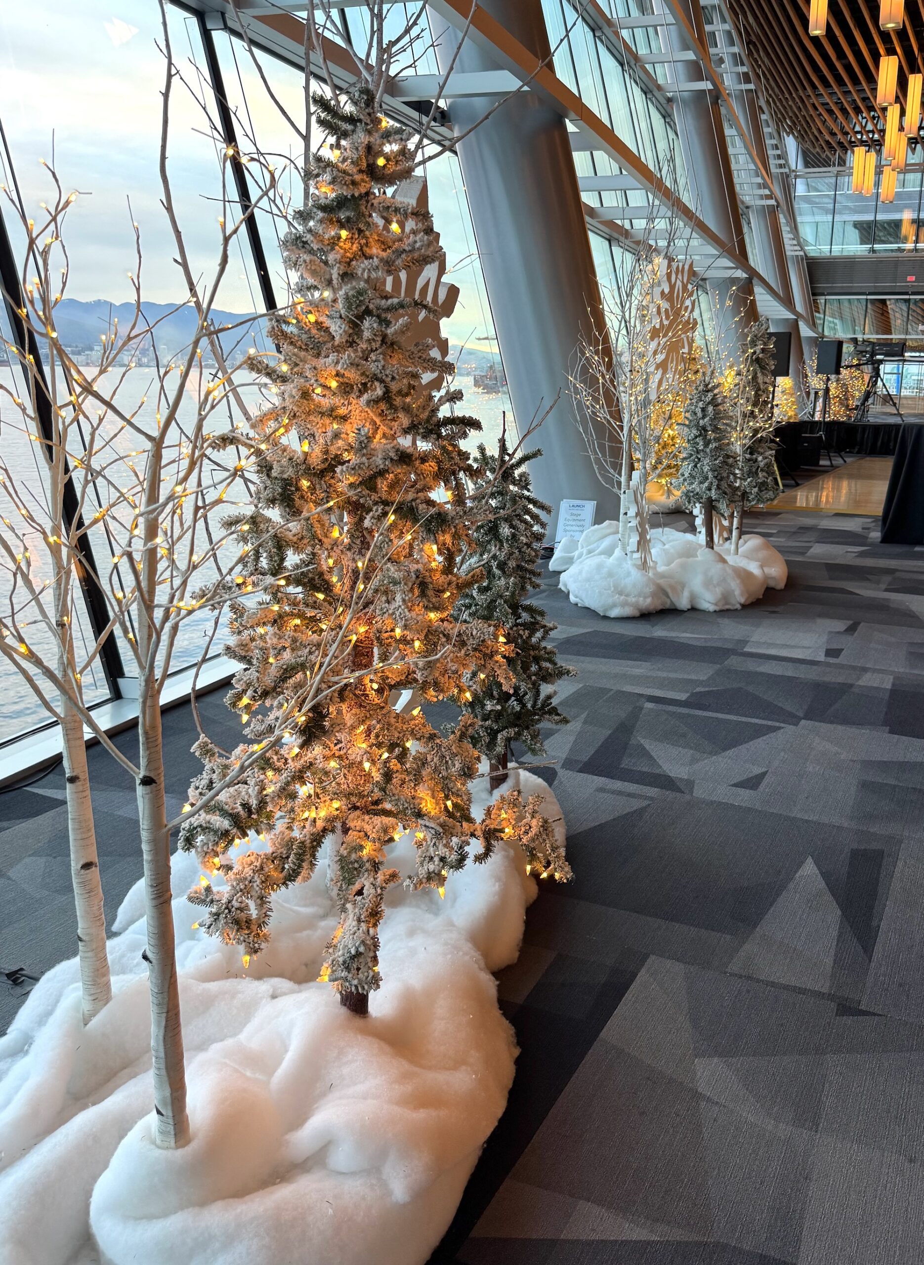 Illuminated winter tree vignettes with decorative lighting in event space