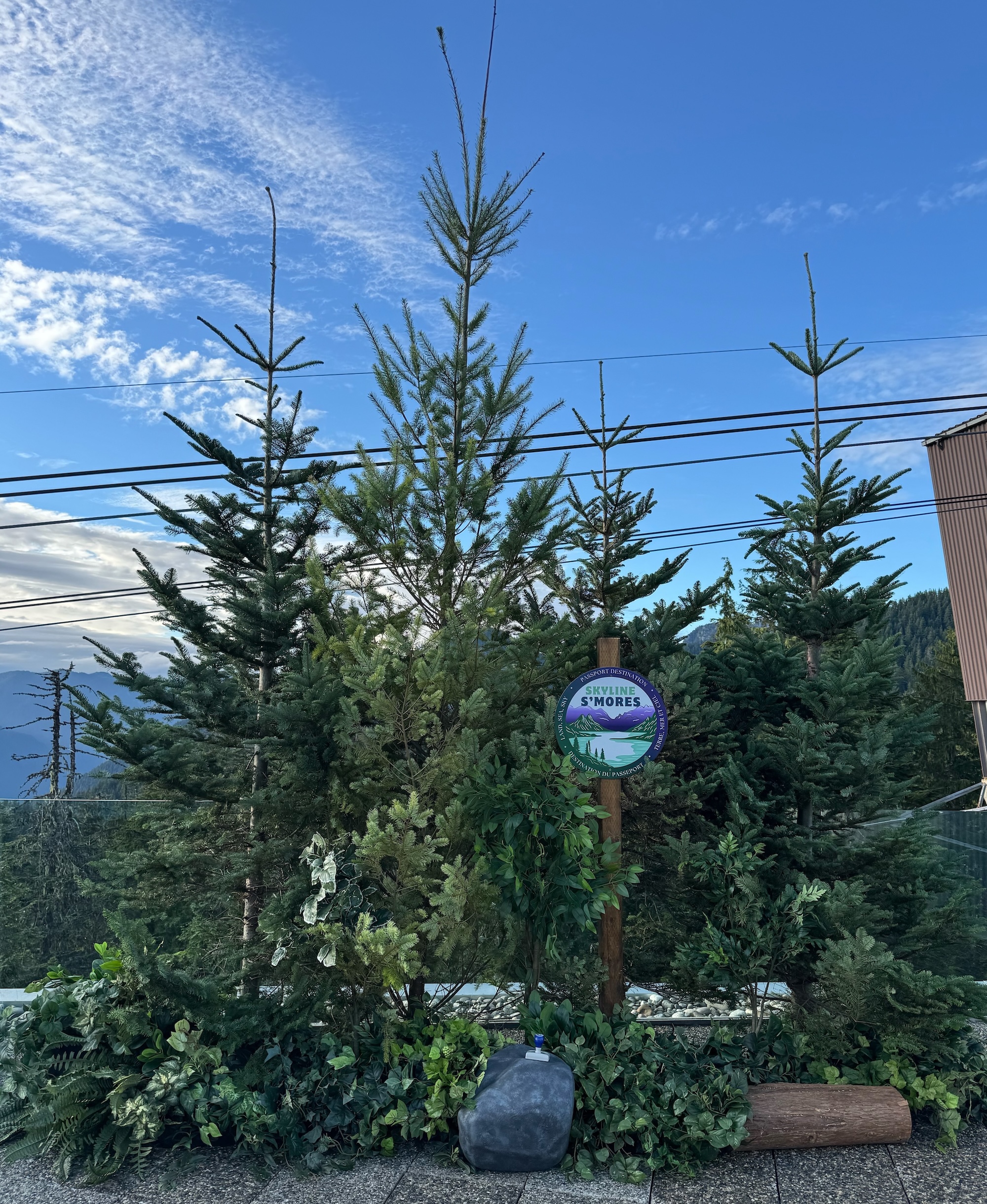 Layered evergreen trees with mixed greenery, a wood post sign, rocks, and log accents arranged in an outdoor corporate event setting.
