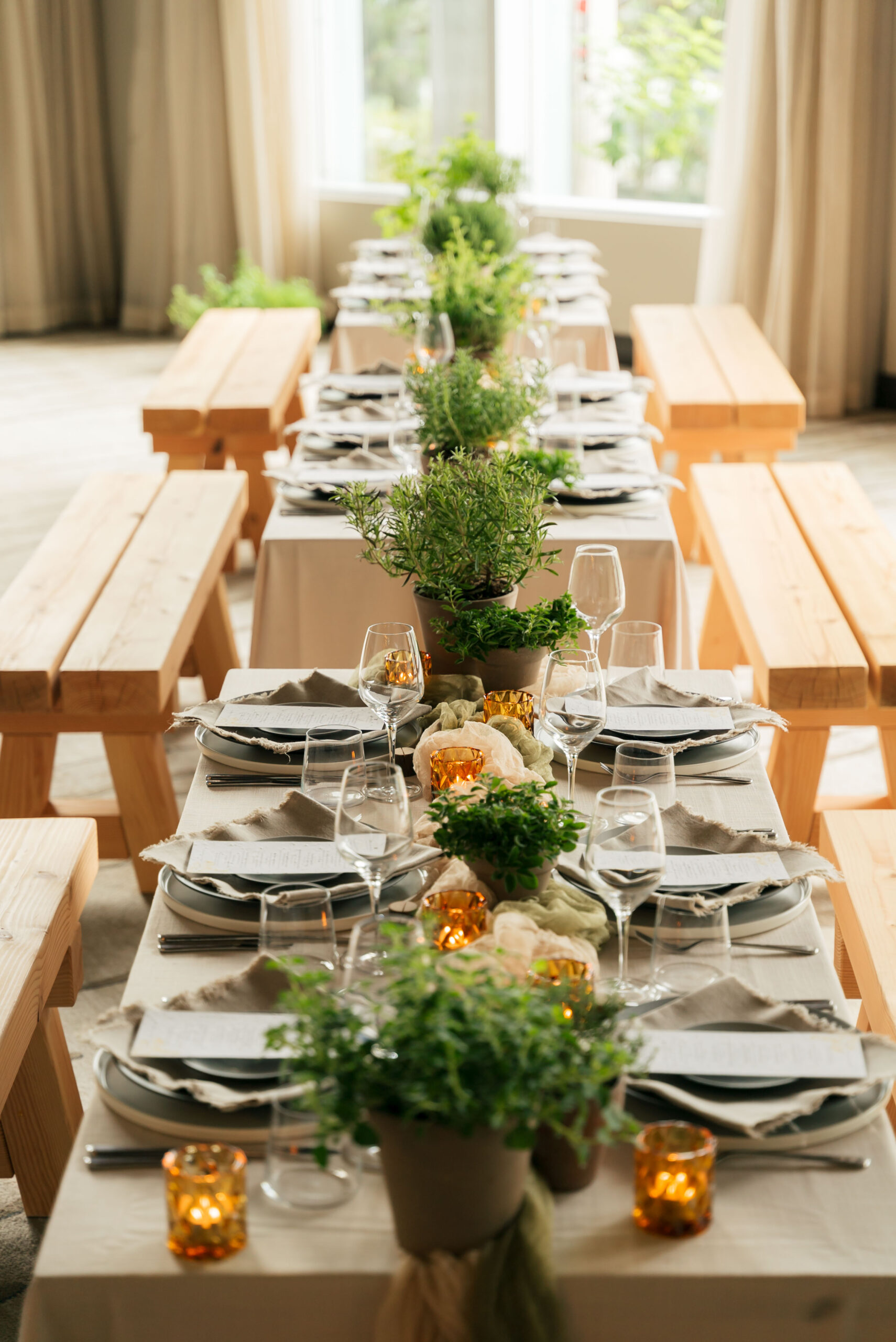 Long table setup with potted greenery centrepieces for corporate event