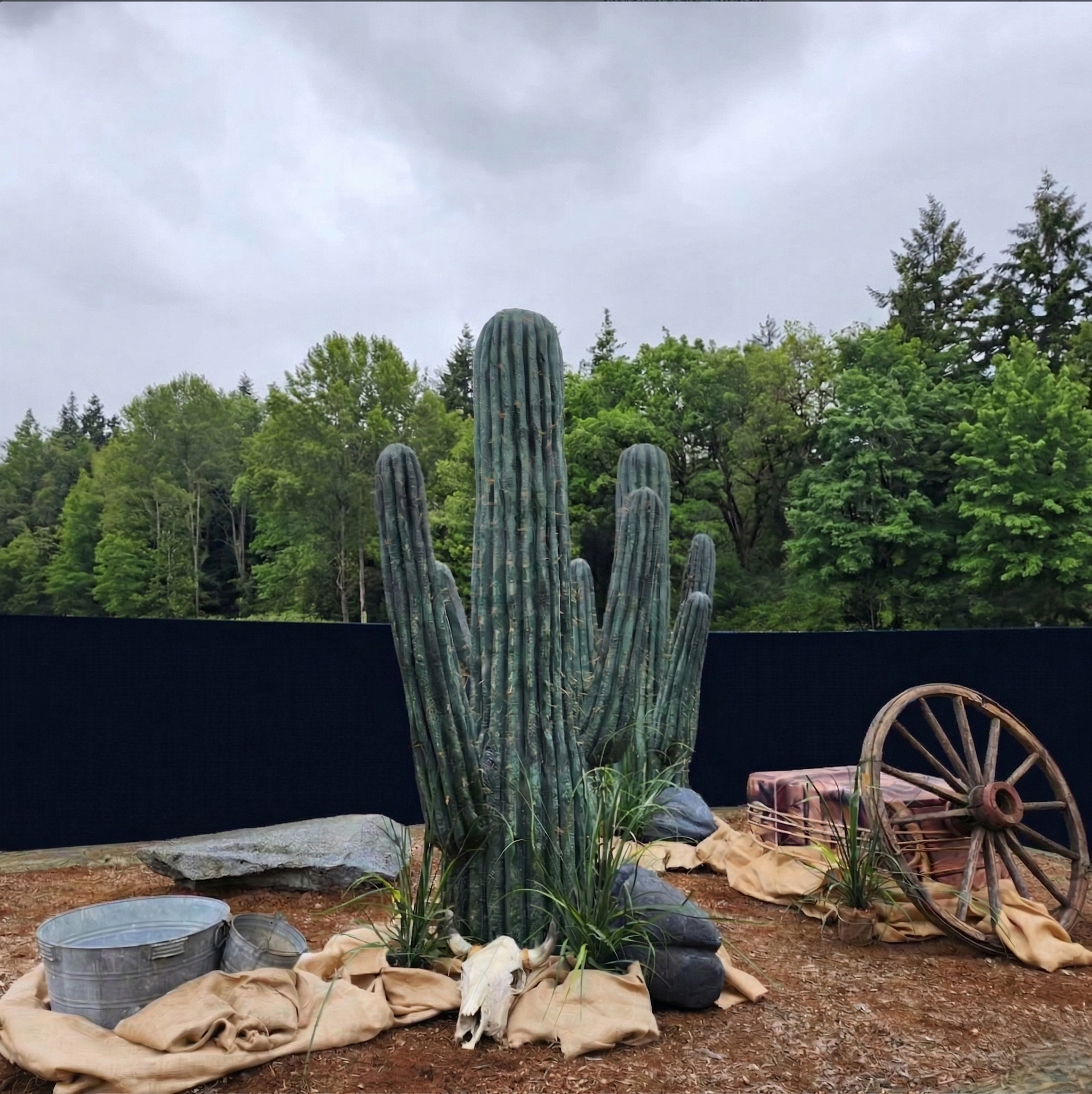 Large cactus prop with rocks, grasses, burlap, a cattle skull, metal tubs, and a wooden wagon wheel in a western-themed outdoor event setting.