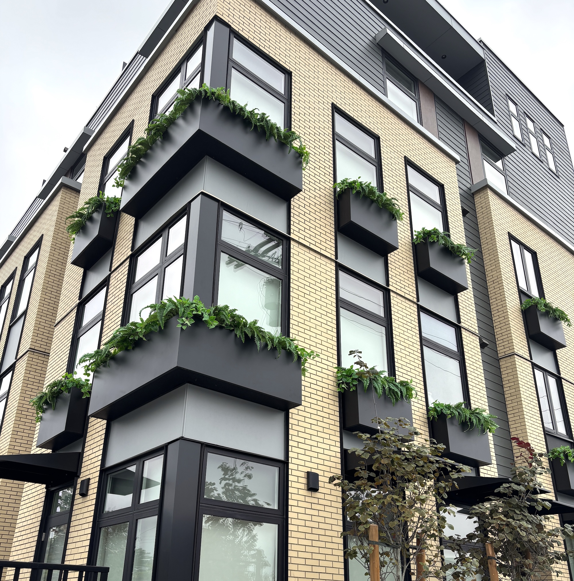Black exterior window boxes filled with artificial ferns and trailing faux greenery mounted on a multi-storey condo building.