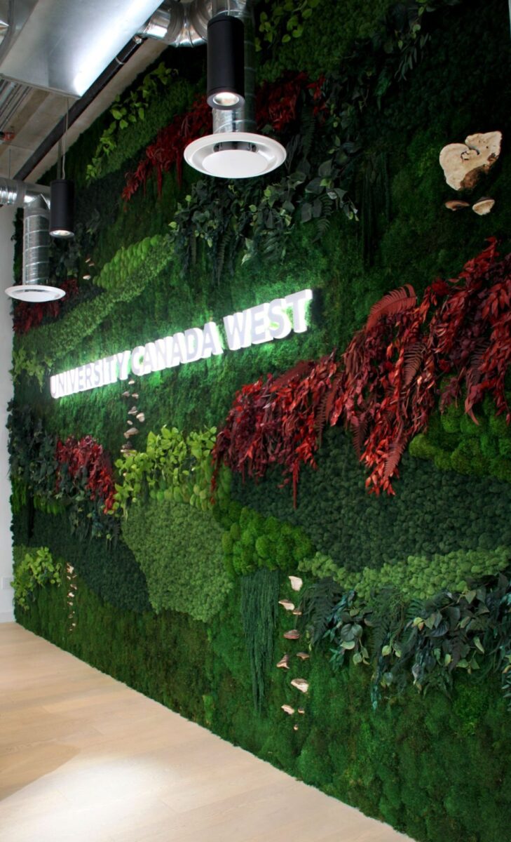 Commercial Mixed Moss Wall Preserved Plant Wall University Canada West