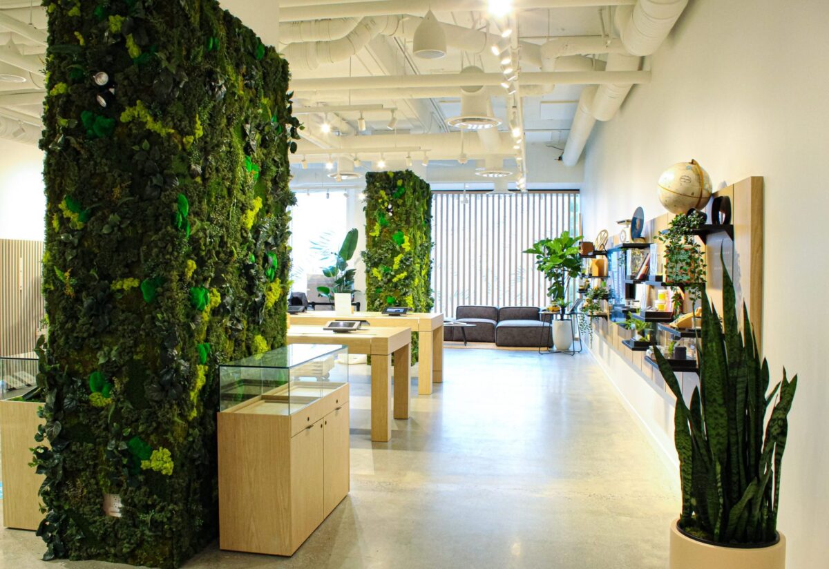 Divider Privacy Green Walls Commercial Space