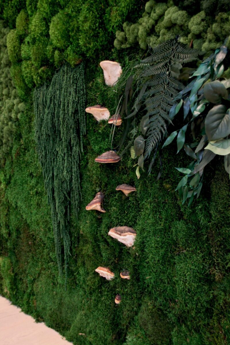 Greenscape Design Custom Interior Design Preserved Moss Wall and Preserved Plant Wall with Konks