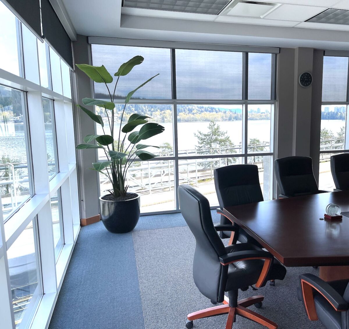 Large artificial tropical plant in a dark round planter beside floor-to-ceiling windows in a commercial office boardroom