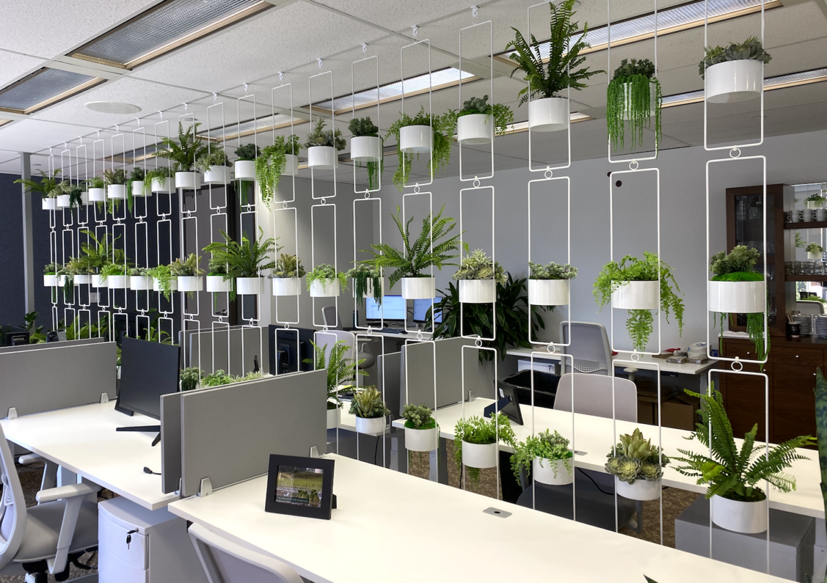Suspended artificial plant installation with white planters used as a space divider in an open-plan Vancouver office