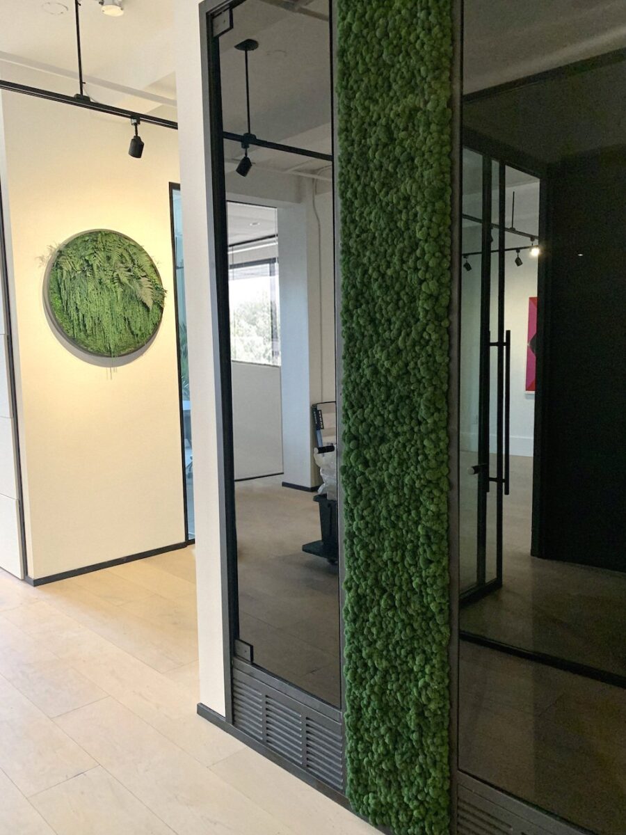 Preserved moss wall panel beside a glass partition in a Vancouver office, with a circular moss art piece on the adjacent wall