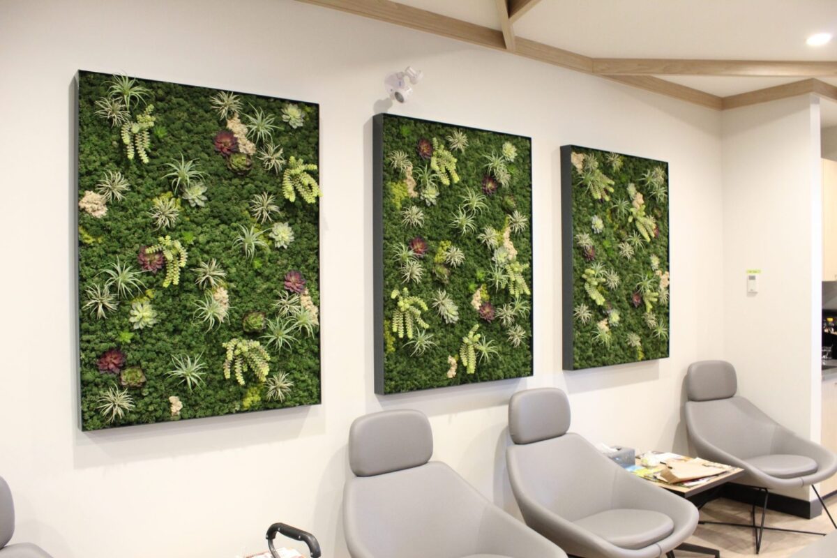 Three framed artificial green wall panels with mixed foliage and air plants mounted above a seating area in a professional office