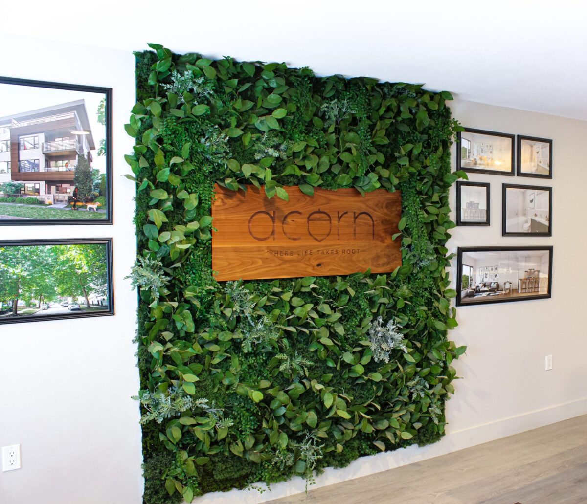 Artificial green wall installation with a branded wooden sign for Acorn in a commercial office reception area