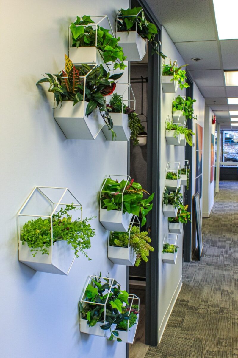 White geometric wall-mounted planters with artificial plants displayed along an office corridor as part of a biophilic design installation