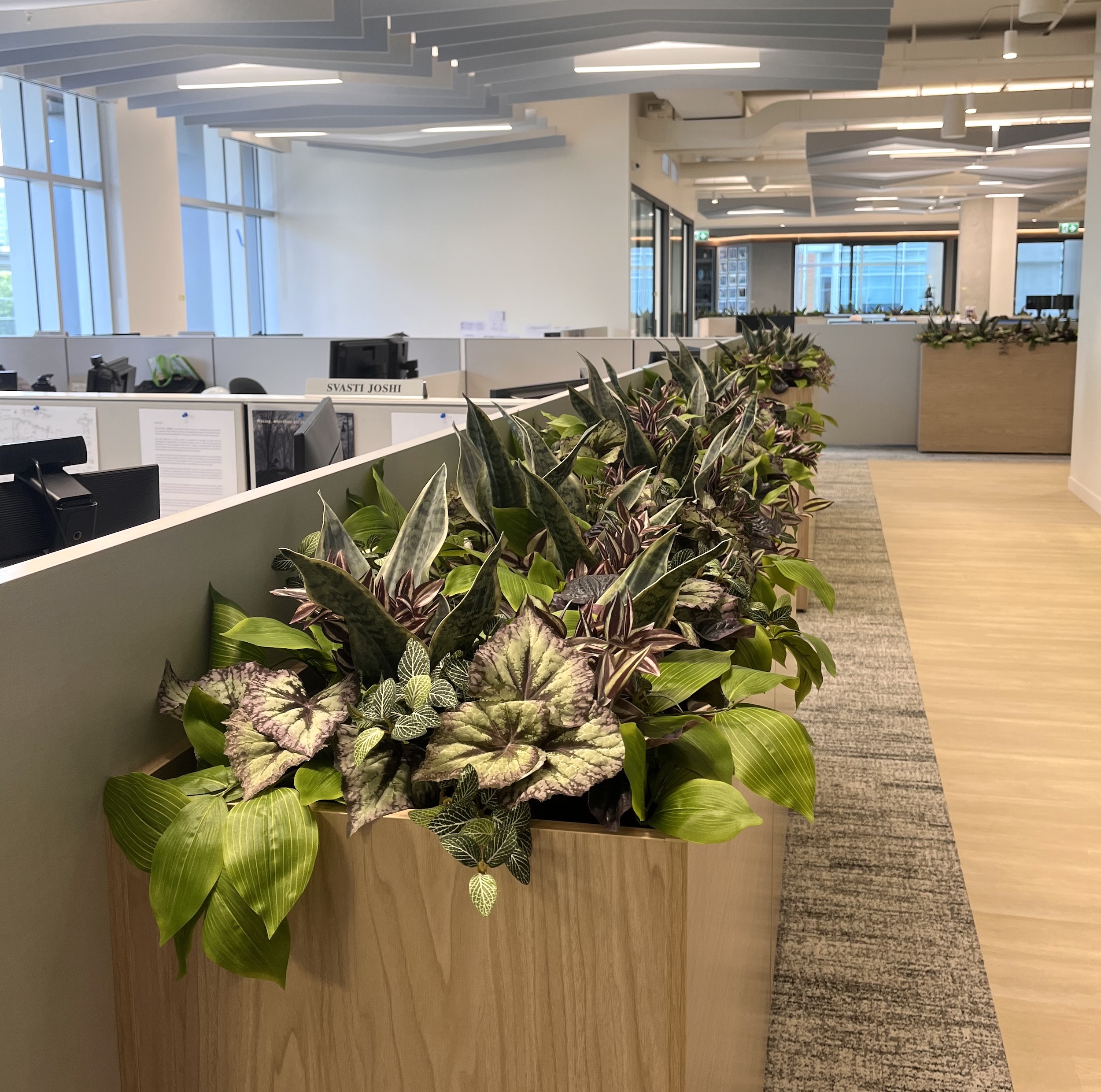 Artificial mixed foliage plants in a long wooden planter separating workstations in an open-plan office
